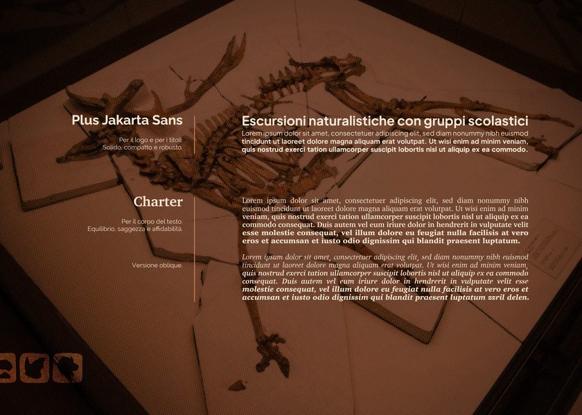 I caratteri ADN, Plus Jakarta Sans e Charter, su un fossile