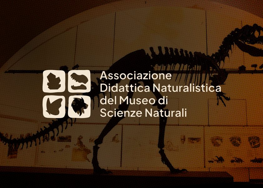 Il nuovo logo dell'Associazione Didattica Naturalistica davanti allo scheletro di un dinosauro